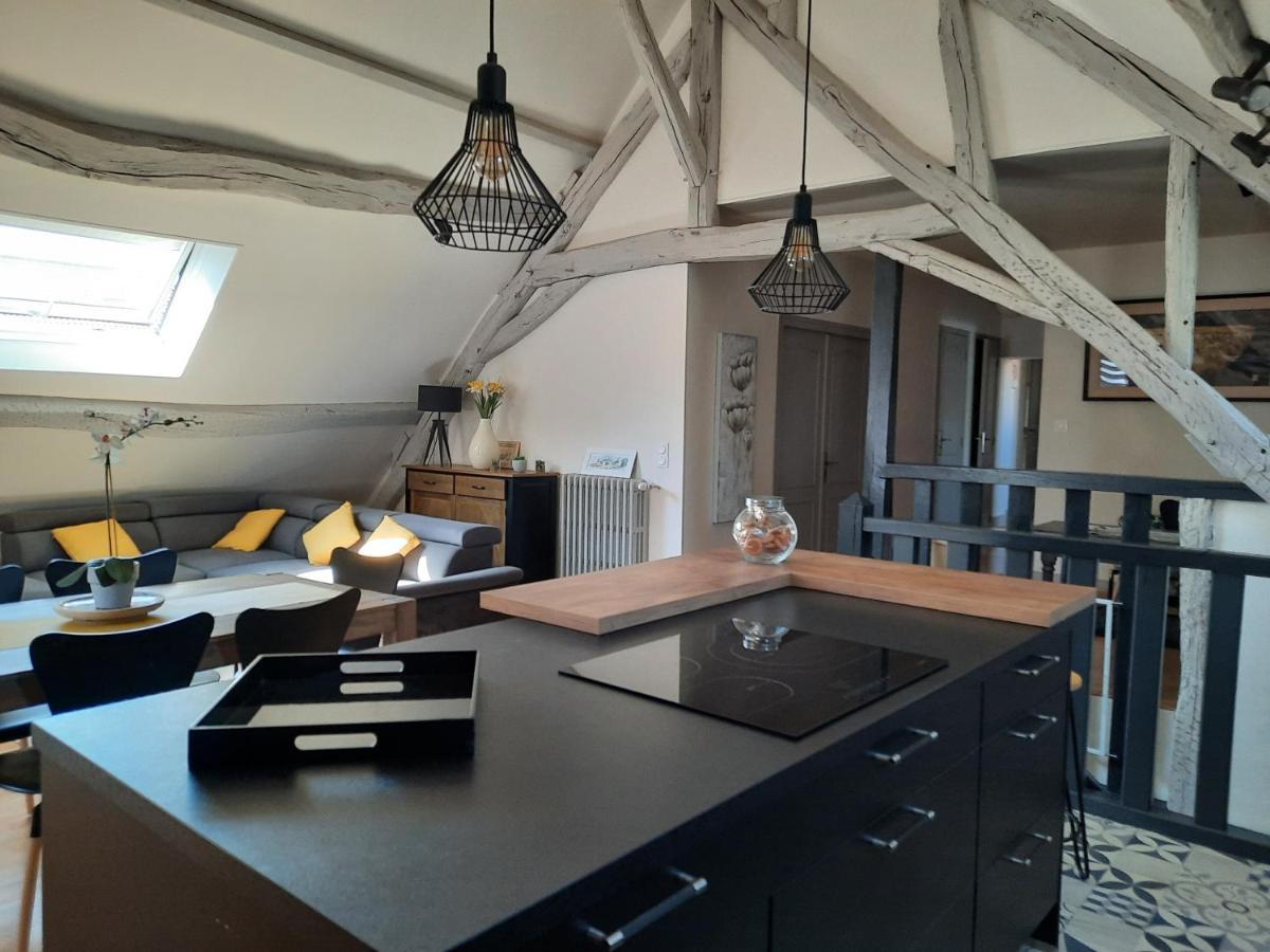 Grand Appartement Tout Confort Proche De Chambord Saint-Claude-de-Diray Exterior foto