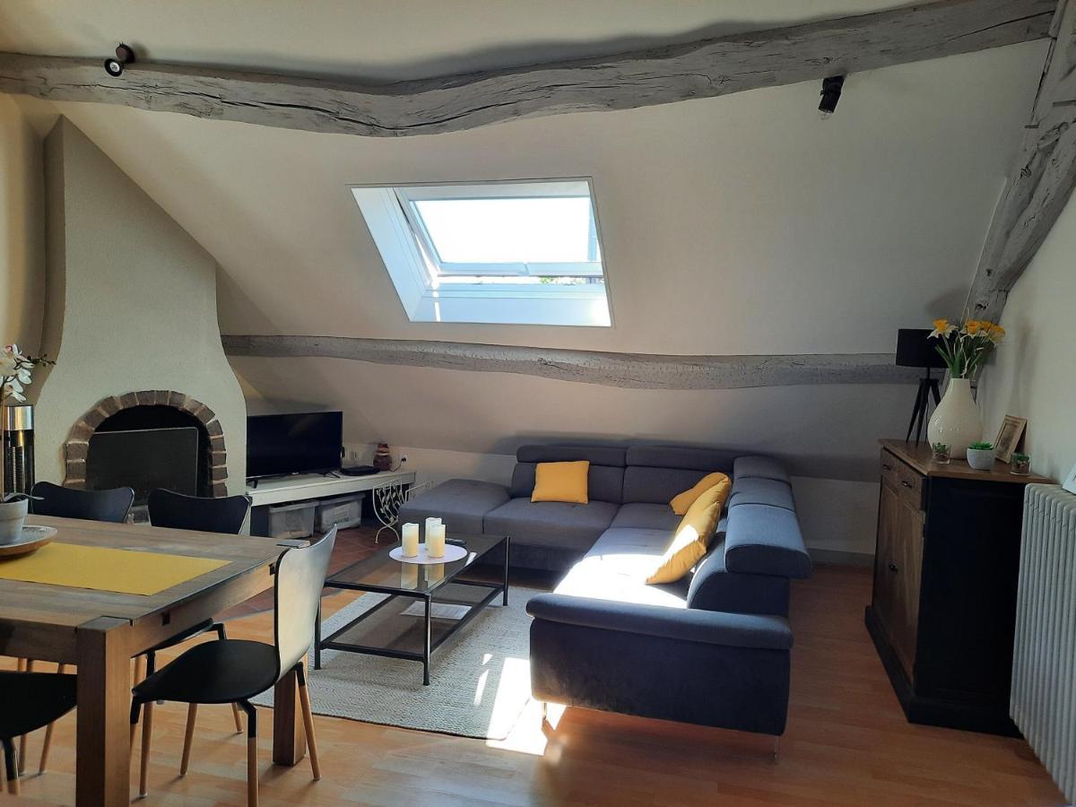 Grand Appartement Tout Confort Proche De Chambord Saint-Claude-de-Diray Exterior foto