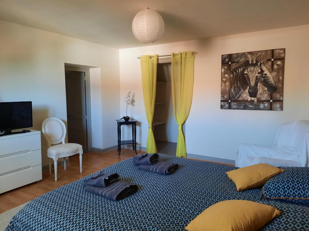 Grand Appartement Tout Confort Proche De Chambord Saint-Claude-de-Diray Exterior foto