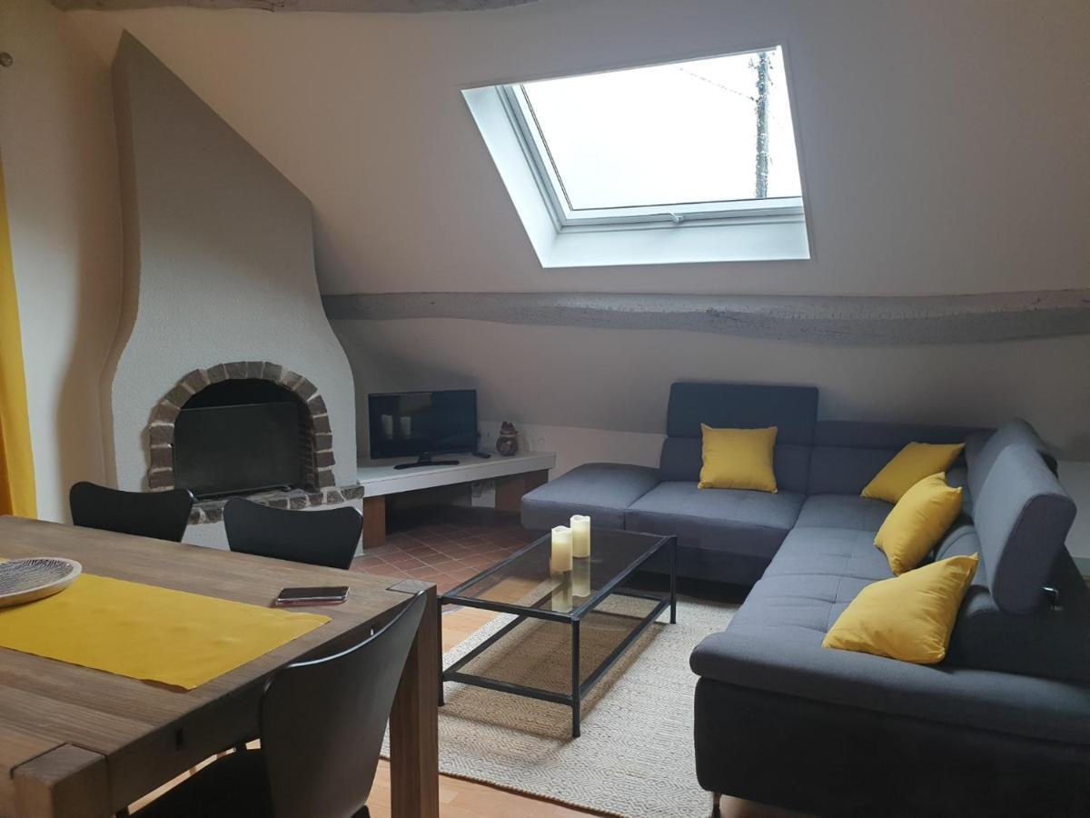 Grand Appartement Tout Confort Proche De Chambord Saint-Claude-de-Diray Exterior foto